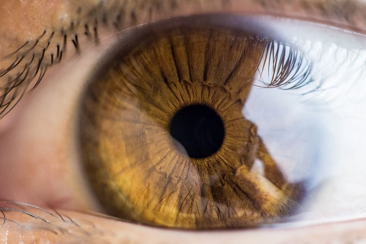 Quel est le rôle de la mélanine pour les yeux ?