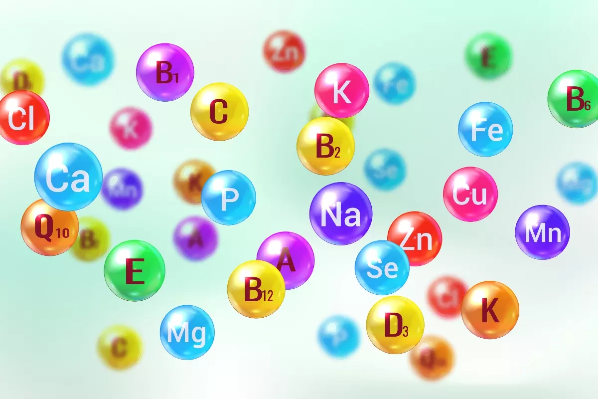 Tout savoir sur les micronutriments : quels sont-ils et pourquoi sont-ils essentiels ?